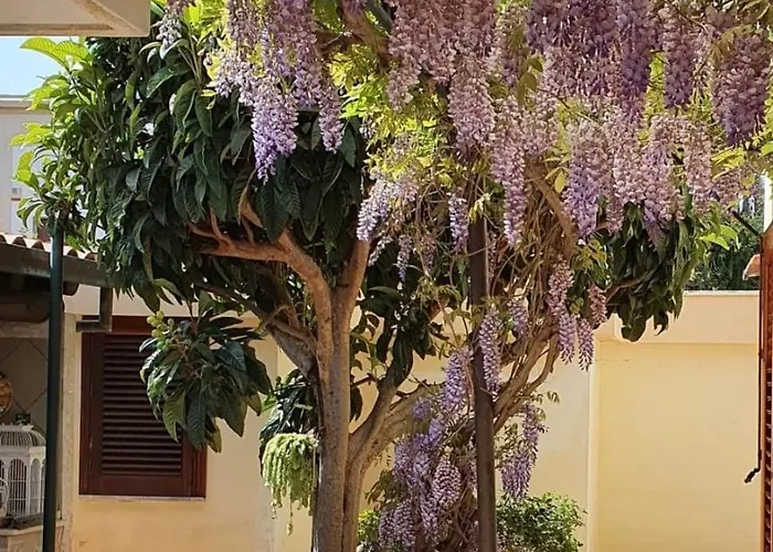 La Depandance Di Rosa Locazioni Brevi Holiday home *